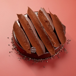 Fennikel kake