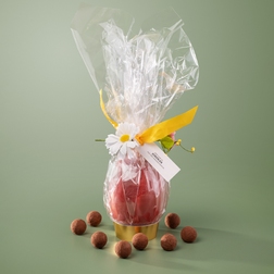 Påskeegg  16 cm i cellofan