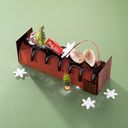 Bûche Chocovanille